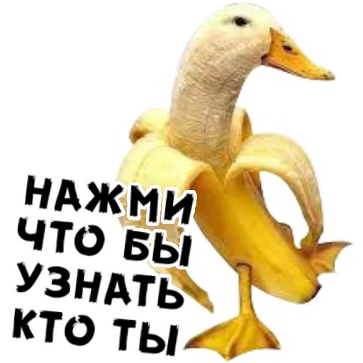 🍞 Стикер «Who?» для Telegram