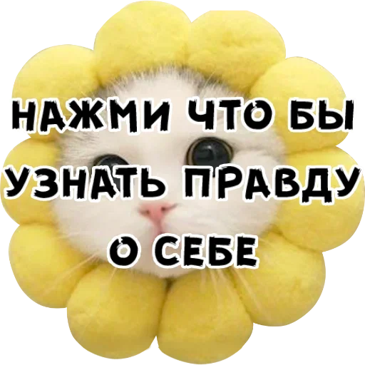 😍 Стикер «Discover» для Telegram