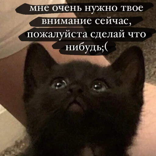 🥺 Стикер «143luv» для Telegram