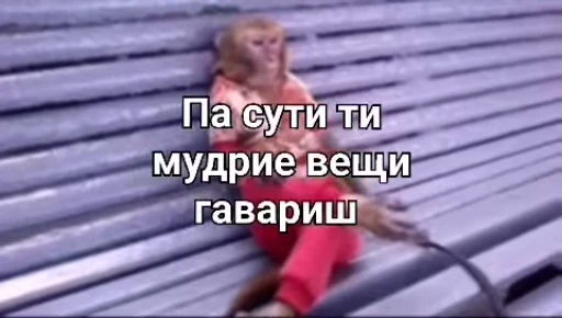 Стикерпак Мемные обезьяны для Telegram