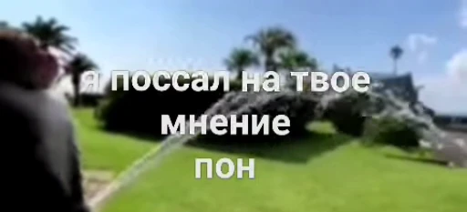 🙈 Стикер «Мемные обезьяны» для Telegram