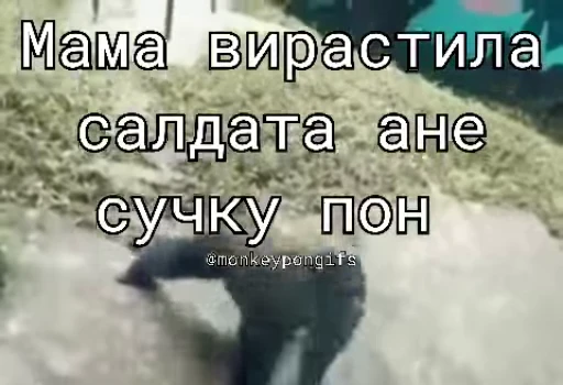 😳 Стикер «Мемные обезьяны» для Telegram