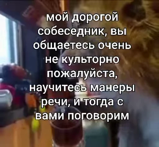 😘 Стикер «Мемные обезьяны» для Telegram