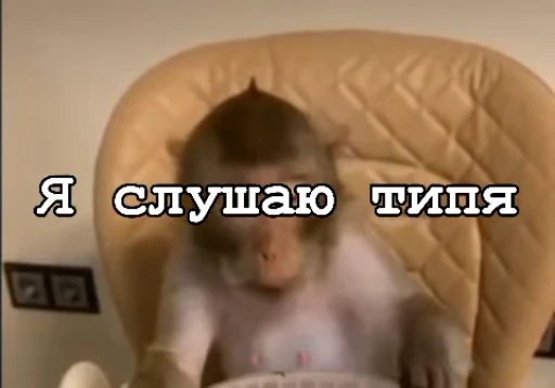 😱 Стикер «Мемные обезьяны» для Telegram