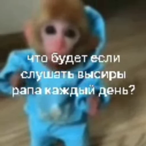 😒 Стикер «Мемные обезьяны» для Telegram