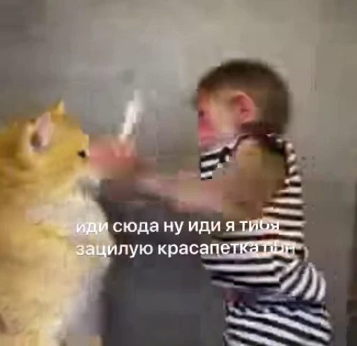 😔 Стикер «Мемные обезьяны» для Telegram