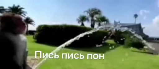 😍 Стикер «Мемные обезьяны» для Telegram