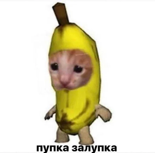 😒 Стикер «soundsfromthevagina» для Telegram