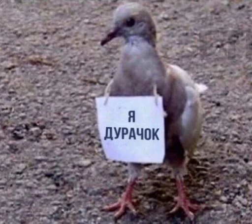 ☹️ Стикер «soundsfromthevagina» для Telegram