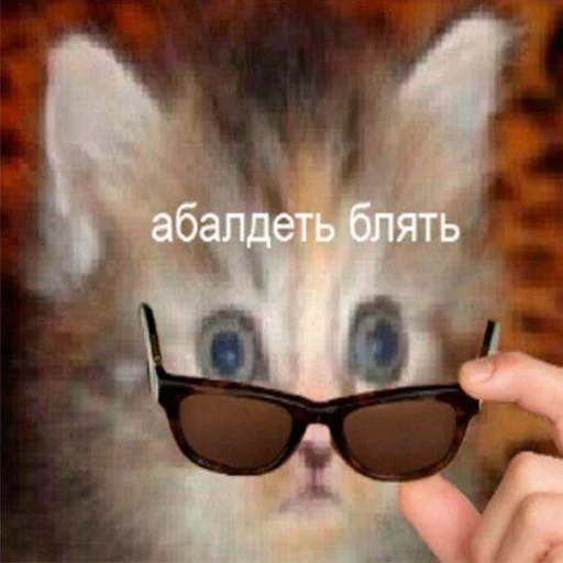 😧 Стикер «soundsfromthevagina» для Telegram