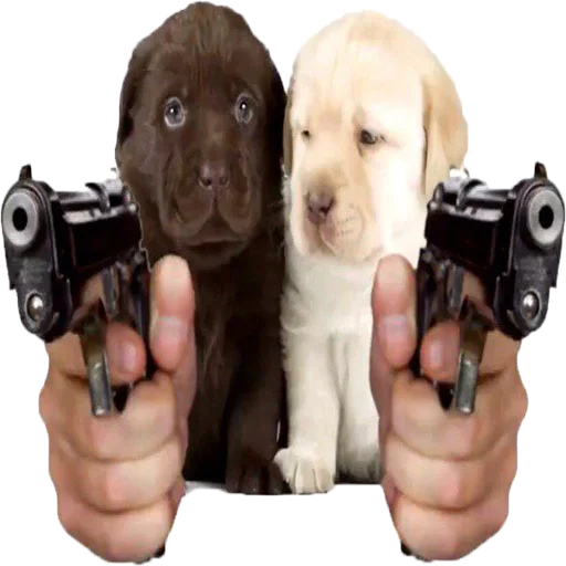 🔫 Стикер «soundsfromthevagina» для Telegram