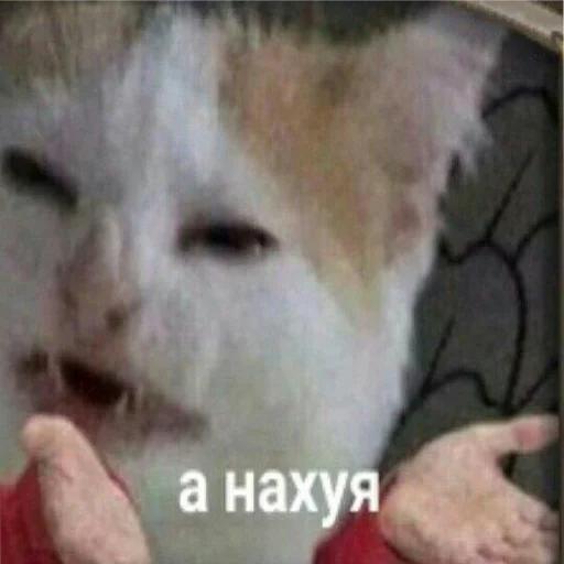🙄 Стикер «soundsfromthevagina» для Telegram