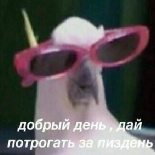 ☺️ Стикер «soundsfromthevagina» для Telegram