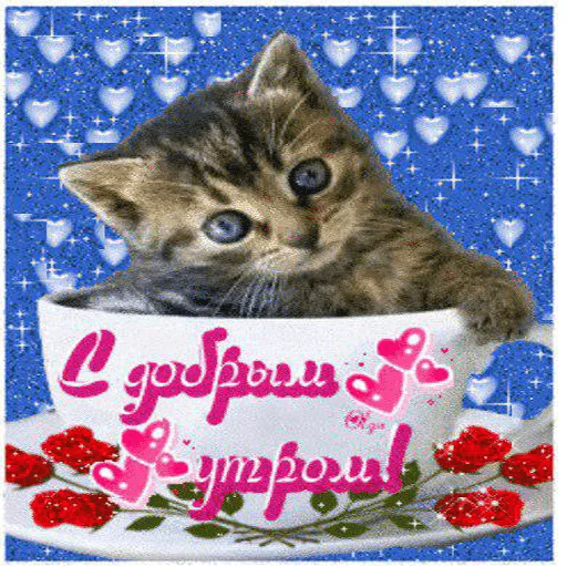 😌 Стикер «soundsfromthevagina» для Telegram