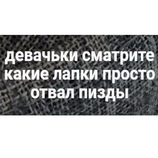 🙂 Стикер «soundsfromthevagina» для Telegram