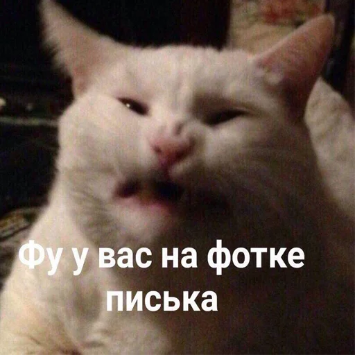 😨 Стикер «soundsfromthevagina» для Telegram