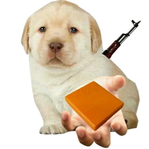 🩹 Стикер «Джамбо и друзья из ЧВК» для Telegram