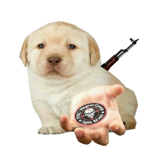 ☠ Стикер «Джамбо и друзья из ЧВК» для Telegram