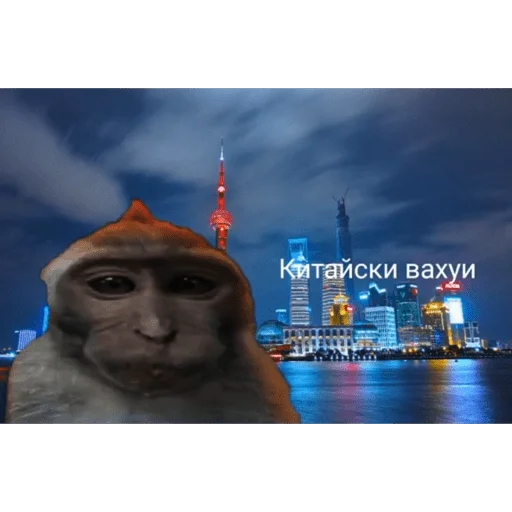 🐵 Стикер «вахуи» для Telegram