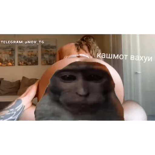 🐵 Стикер «вахуи» для Telegram