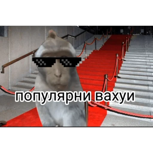 🐵 Стикер «вахуи» для Telegram