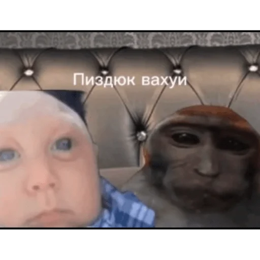 🐵 Стикер «вахуи» для Telegram