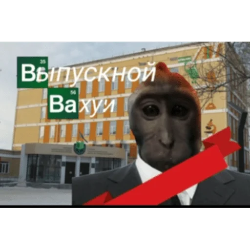 🐵 Стикер «вахуи» для Telegram
