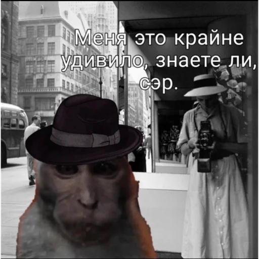 🐵 Стикер «вахуи» для Telegram