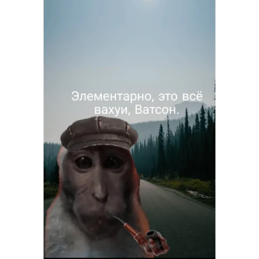 🐵 Стикер «вахуи» для Telegram
