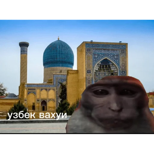 🐵 Стикер «вахуи» для Telegram