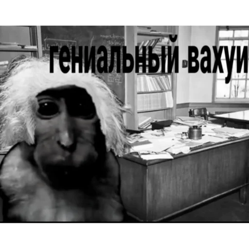 🐵 Стикер «вахуи» для Telegram