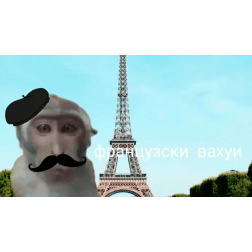 🐵 Стикер «вахуи» для Telegram