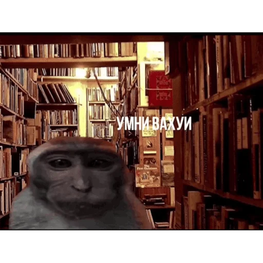 🐵 Стикер «вахуи» для Telegram