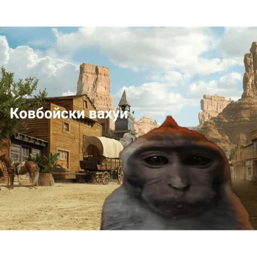 🐵 Стикер «вахуи» для Telegram