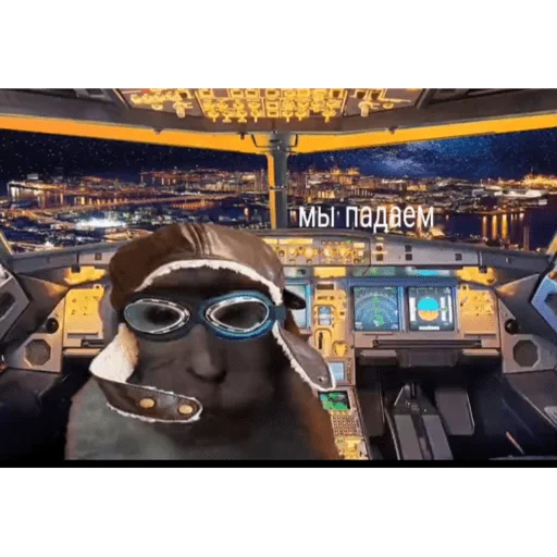 🐵 Стикер «вахуи» для Telegram