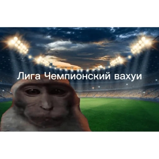 🐵 Стикер «вахуи» для Telegram