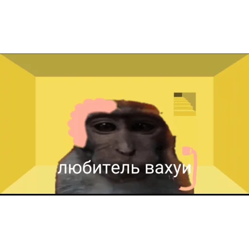 🐵 Стикер «вахуи» для Telegram