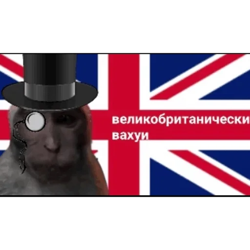🐵 Стикер «вахуи» для Telegram