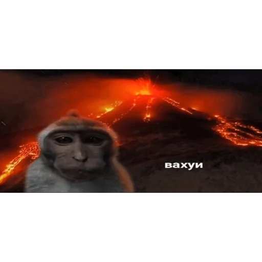 🐵 Стикер «вахуи» для Telegram
