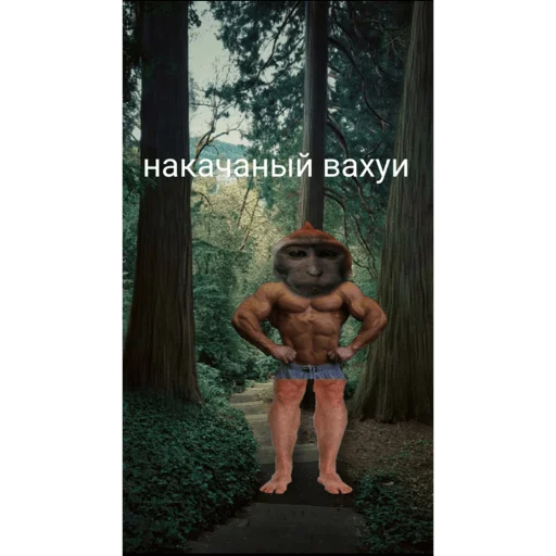 🐵 Стикер «вахуи» для Telegram