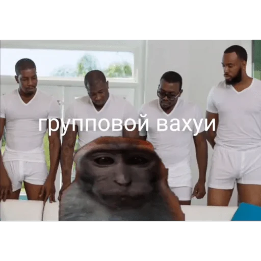 🐵 Стикер «вахуи» для Telegram