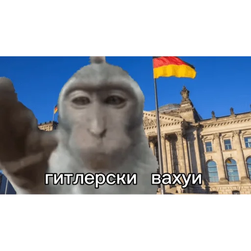 🐵 Стикер «вахуи» для Telegram