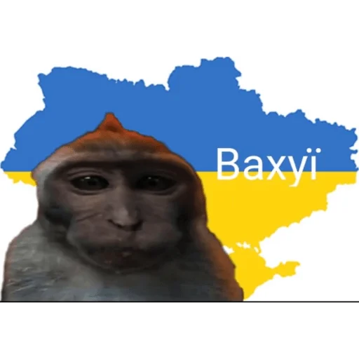 🐵 Стикер «вахуи» для Telegram