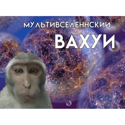 🐵 Стикер «вахуи» для Telegram