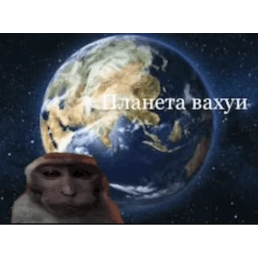 🐵 Стикер «вахуи» для Telegram