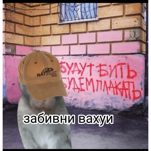 🐵 Стикер «вахуи» для Telegram