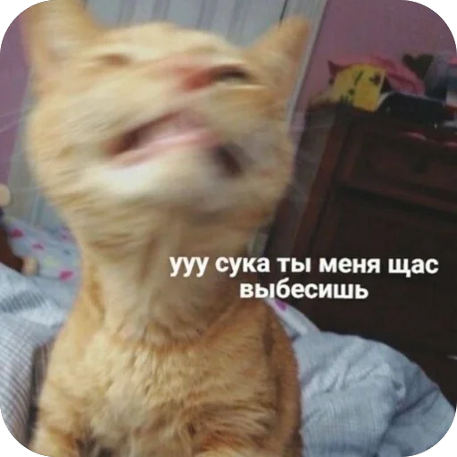 🫥 Стикер «для важных переговоров» для Telegram