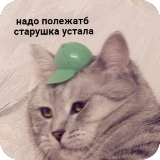 🫥 Стикер «для важных переговоров» для Telegram