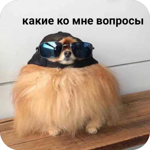 🫥 Стикер «для важных переговоров» для Telegram