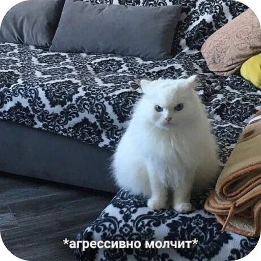 🫥 Стикер «для важных переговоров» для Telegram